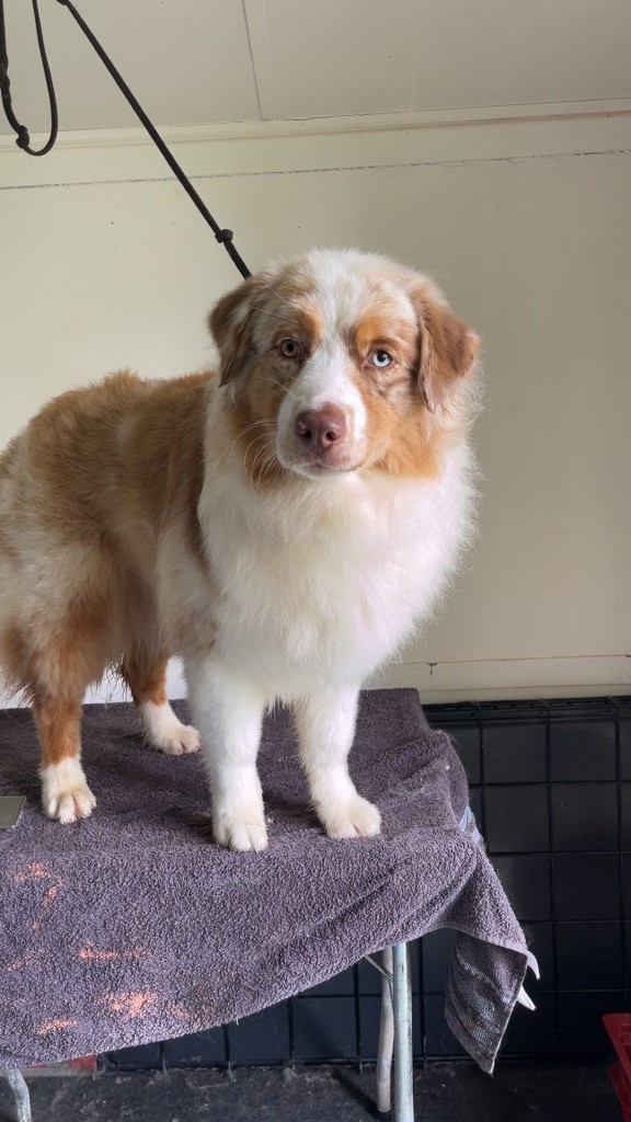 Voie lactée Des Fées Du Marteray